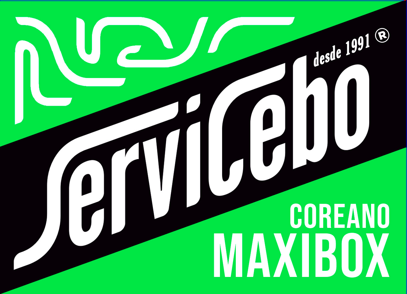 Servicebo Coreano MAxi verde