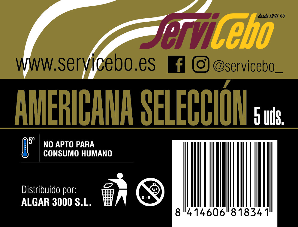 servicebo americana