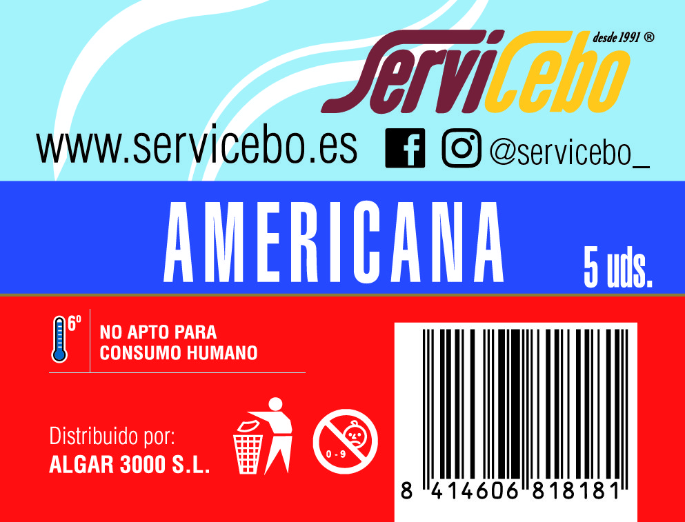 servicebo americana